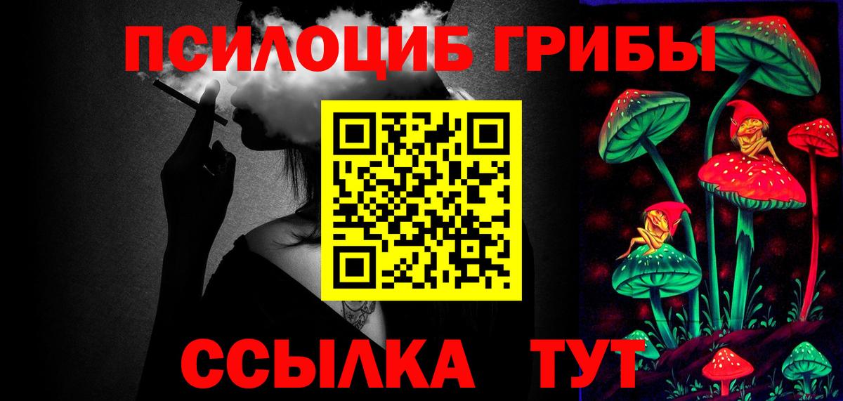 сколько стоит  Псилоцибиновые грибы мицелий  Вход с VPN  Сосновый Бор 