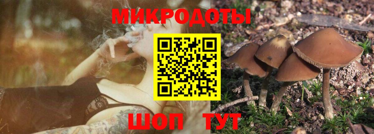 Галлюциногенные грибы GOLDEN TEACHER Сосновый Бор