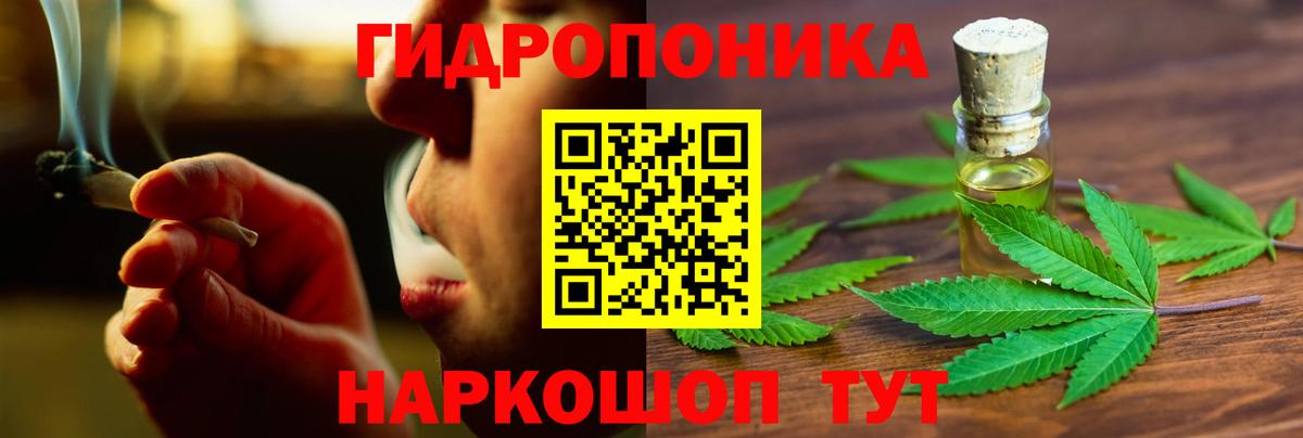 Каннабис план  Конопля индика  Сосновый Бор  МАРИХУАНА OG Kush  Вход с VPN 
